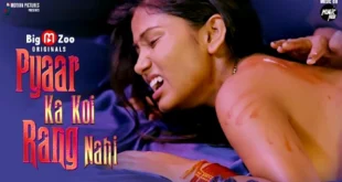 Pyaar Ka Koi Rang Nahi – 2021 – Hindi Hot Web Series – BigMZoo