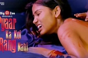 Pyaar Ka Koi Rang Nahi – 2021 – Hindi Hot Web Series – BigMZoo